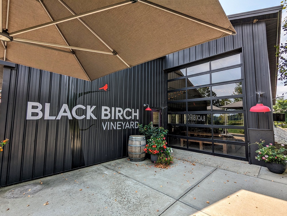 Black Birch Vineyard in Hatfield, MA
