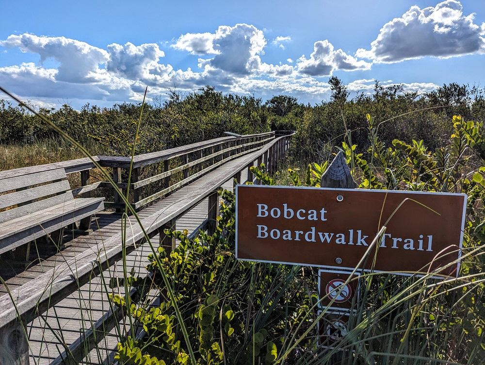 Bobcat Boardwalk Trail in Everglades National Park