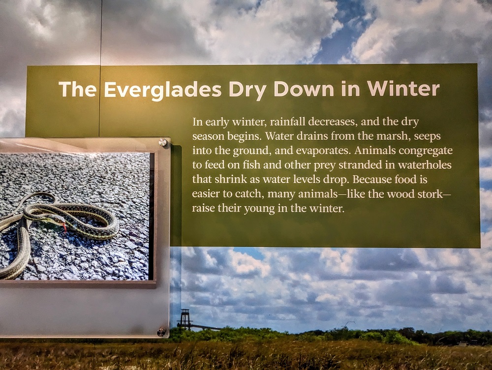 Everglades visitor center exhibit