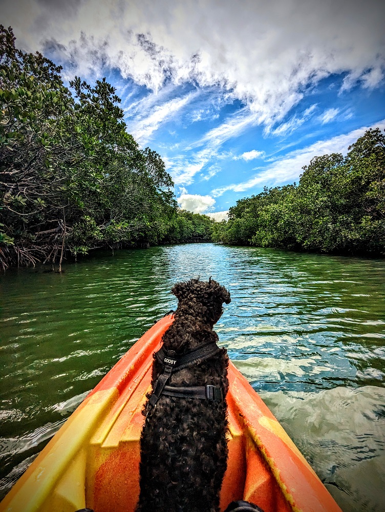 Truffles on a kayak - Ahoy there