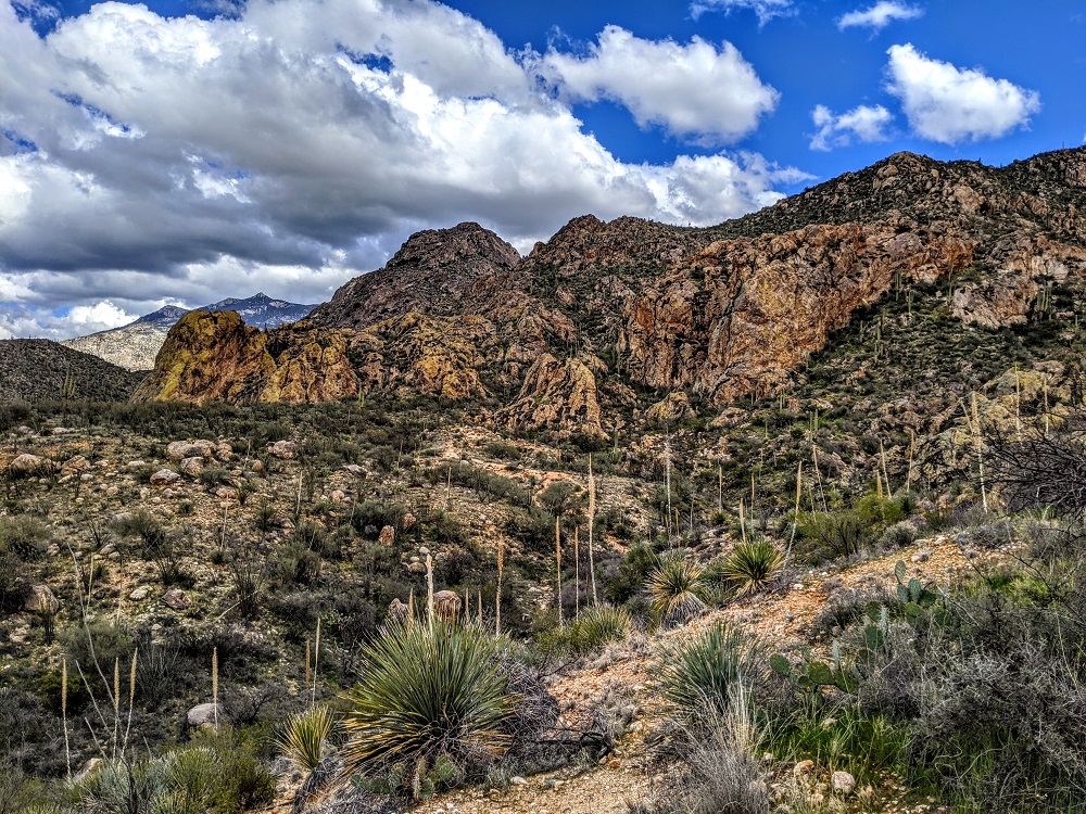 Santa Catalina Mountains in Tucson, AZ