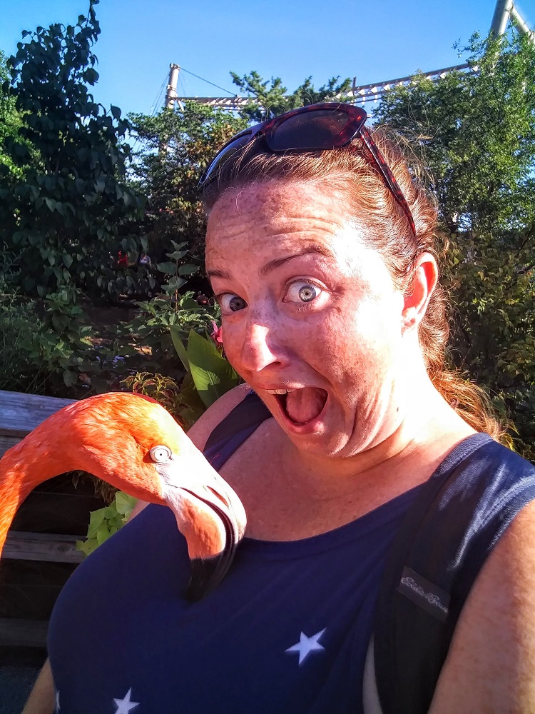 Shae enjoying a flamingo mingle at the Indianapolis Zoo in 2018