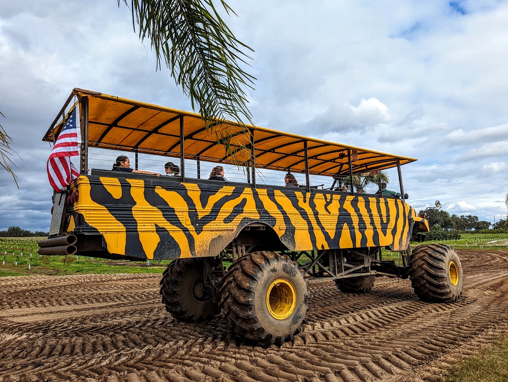 The giant converted school bus at Showcase of Citrus