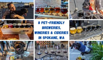8 Pet-Friendly Breweries, Wineries & Cideries In Spokane, WA