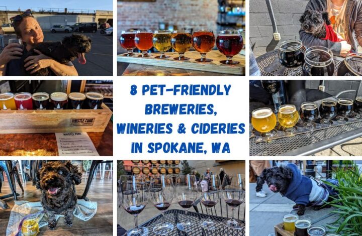 8 Pet-Friendly Breweries, Wineries & Cideries In Spokane, WA