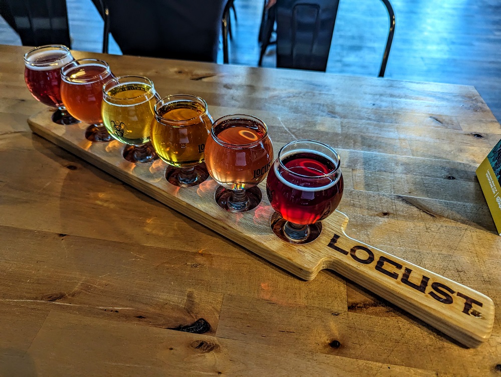 Cider flight at Locust Cider