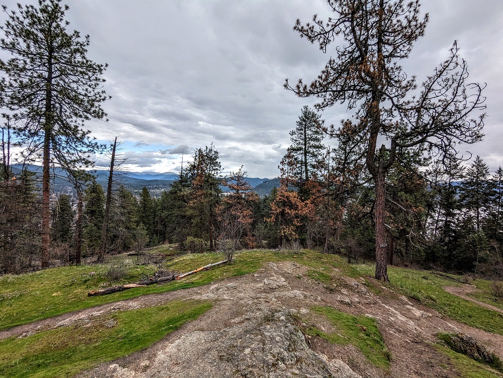 View from the summit of Tubbs Hill in Coeur d'Alene, ID