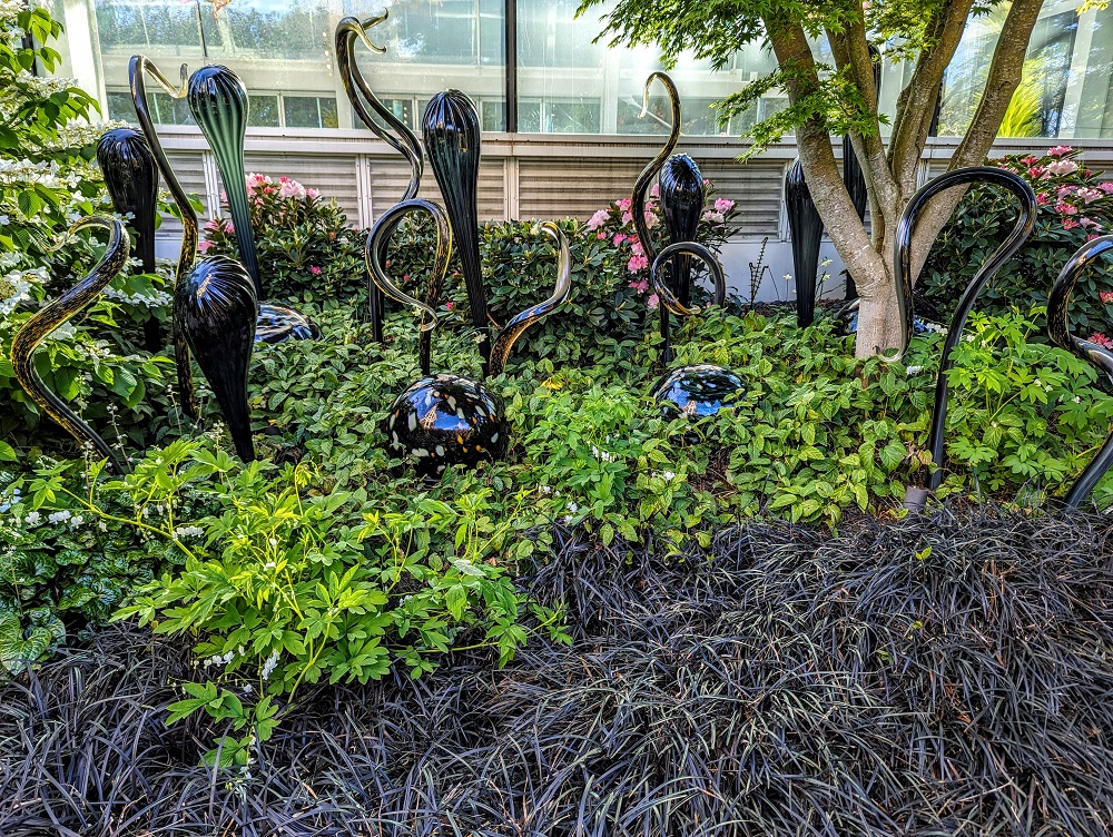 Chihuly Garden and Glass - Garden 5