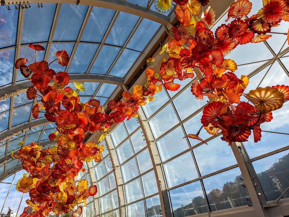 Chihuly Garden and Glass - Glasshouse Sculpture