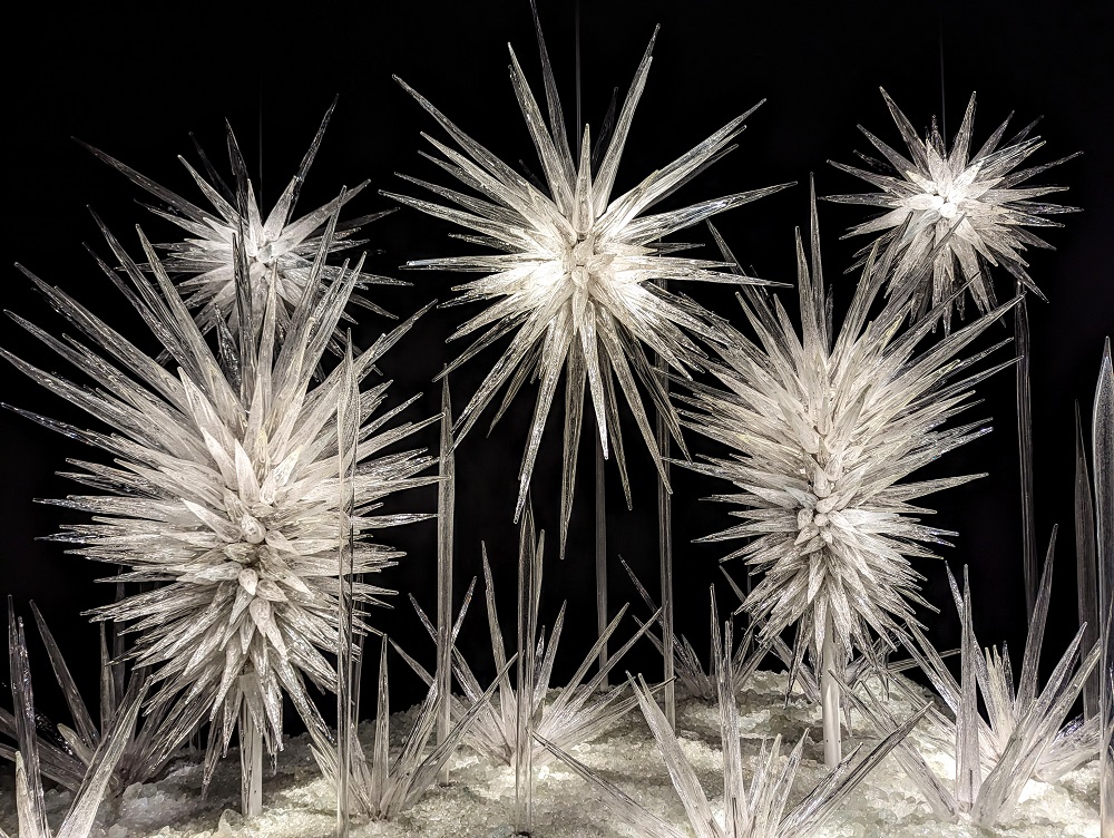 Chihuly Garden and Glass - Winter Brilliance