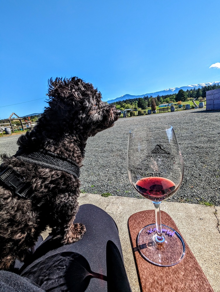Me and Truffles enjoying the pretty view from the winery