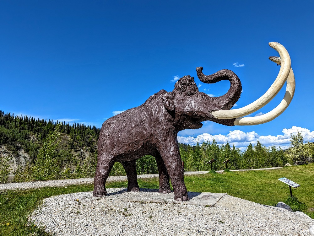 Woolly mammoth statue in Dawson City
