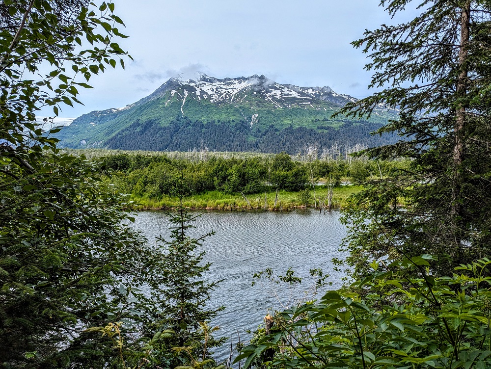 Mountain view on the Resurrection River Trail