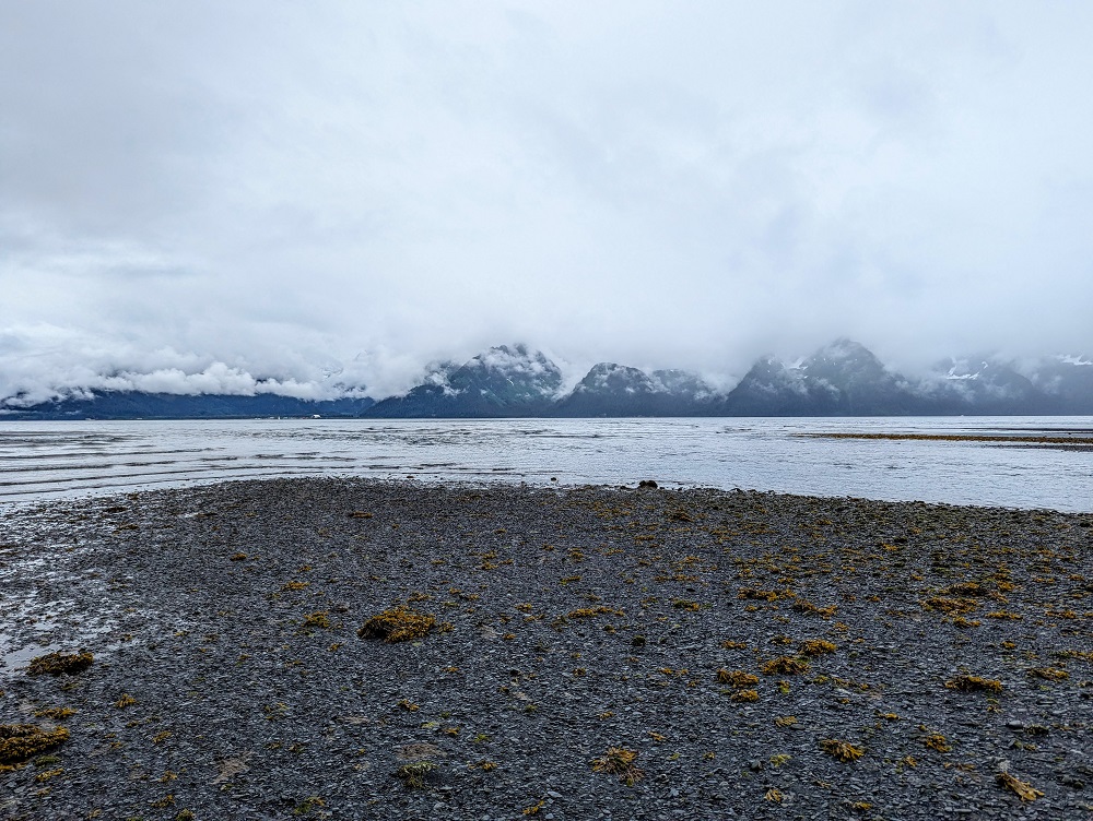 Resurrection Bay in Seward, AK