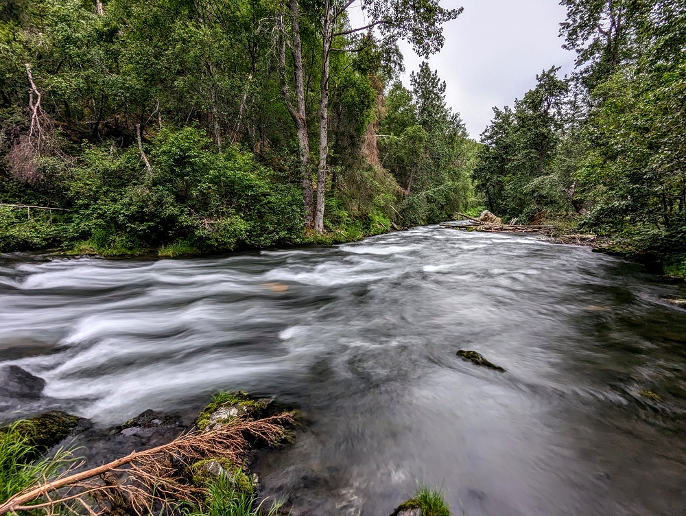 Russian River (which was a rushin' river)