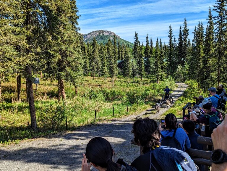 Sled dog demonstration at Denali National Park - No Home Just Roam