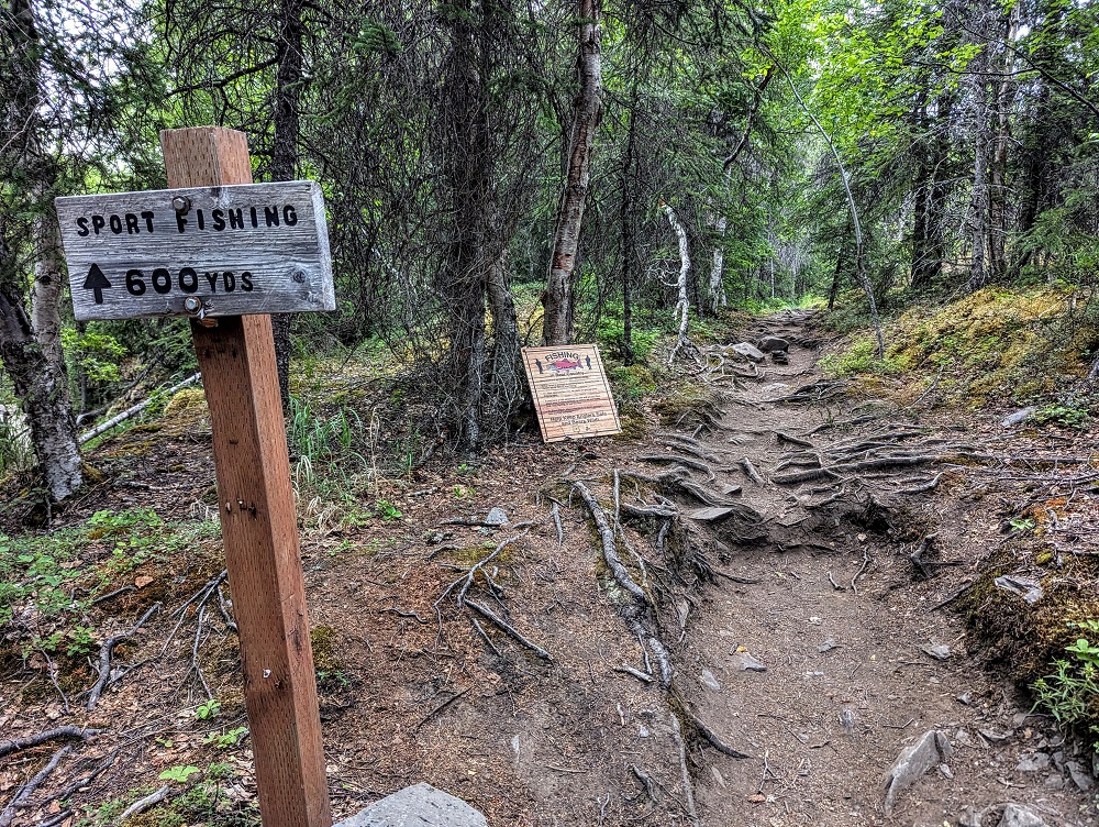 This way to fish (and hopefully bears)