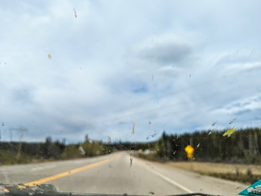 The bug splats got much worse than this at times