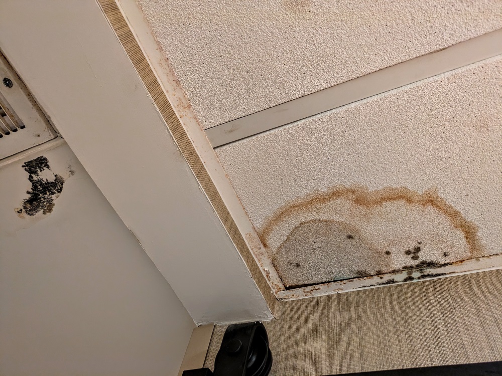DoubleTree Missoula-Edgewater - Water leaks & mold