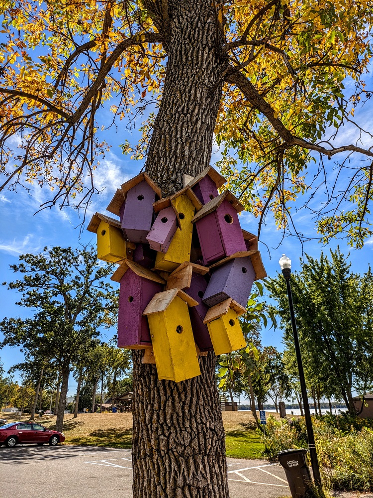 Thomas Dambo Detroit Lakes trolls - Just some of the 500+ bird houses