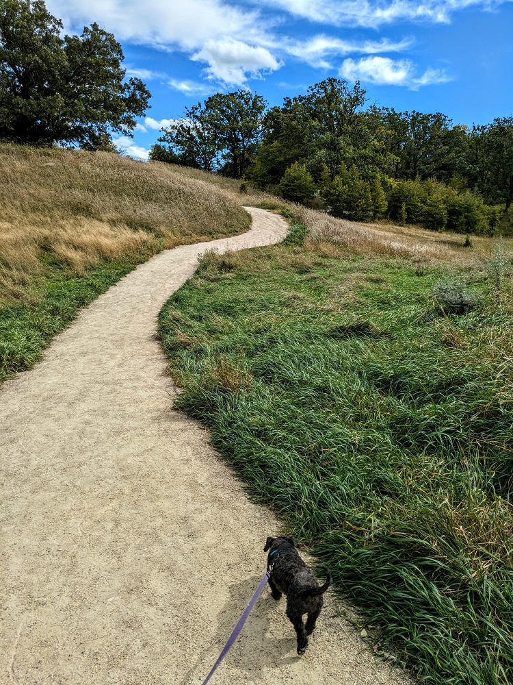 Trail to Barefoot Frida