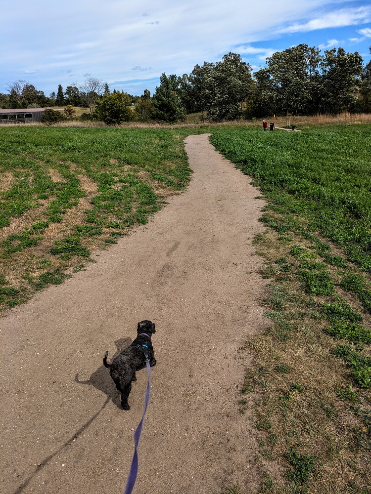 Trail to Jacob Everear
