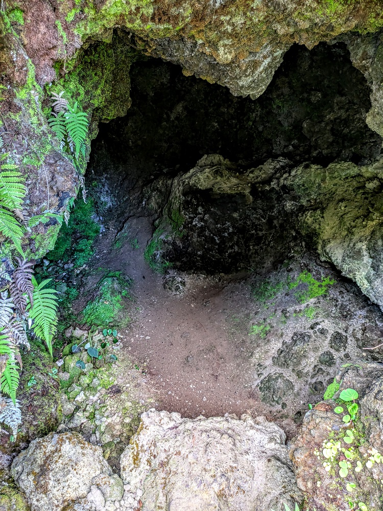 Inside the Roadside Lava Tube on the Road to Hana
