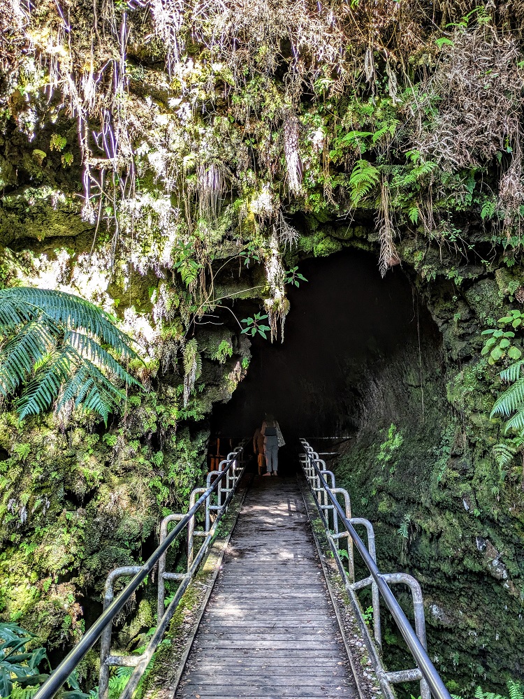 Heading into the Nahuku-Thurston Lava Tube in Hawaii Volcanoes National Park