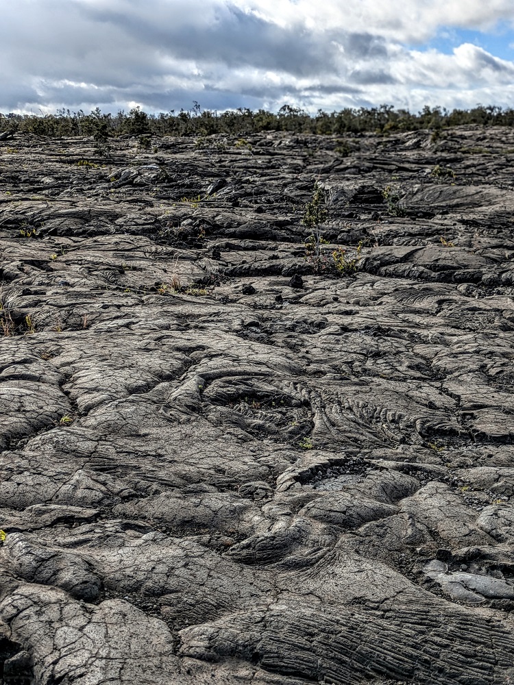 Lava field at the start of the Keauhou Trail