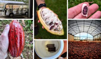 Lavaloha Chocolate Farm Tours Big Island Hawaii