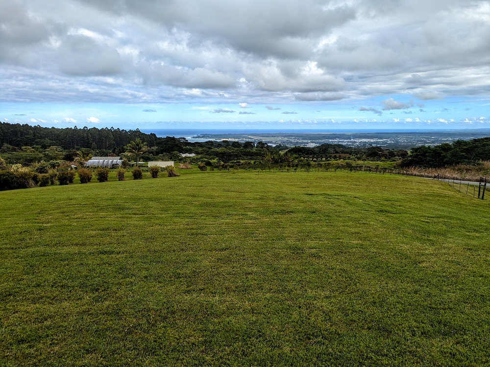 View from the gift shop at Lavaloha Chocolate Farm Tours