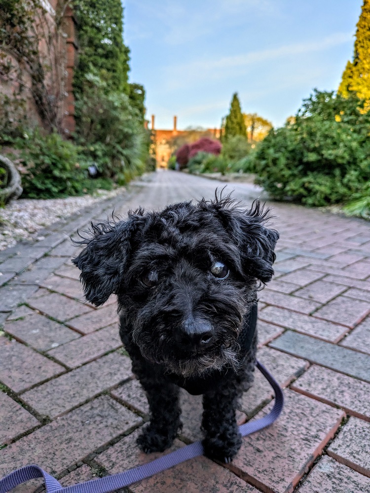 Are you done taking photos of me yet