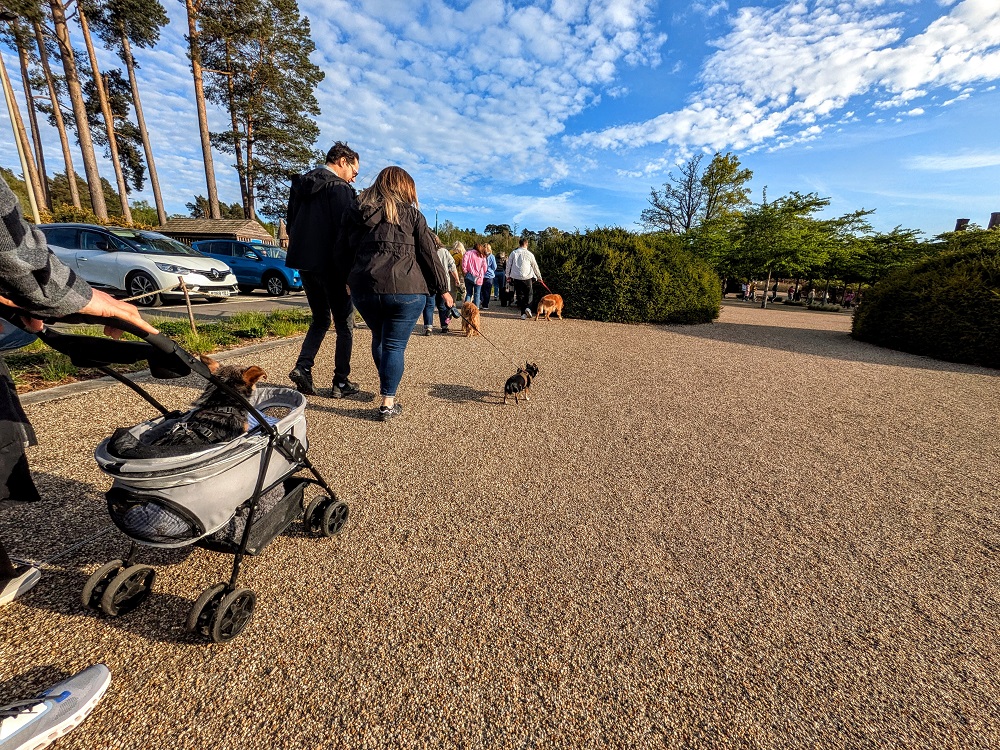 Line for Walkies at Wisley