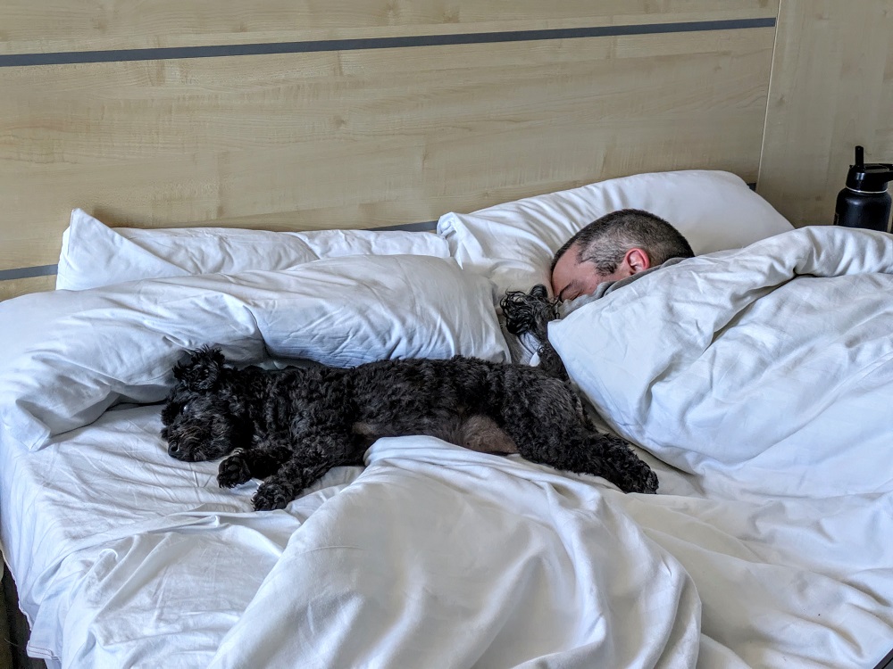 No space for Shae in this bed