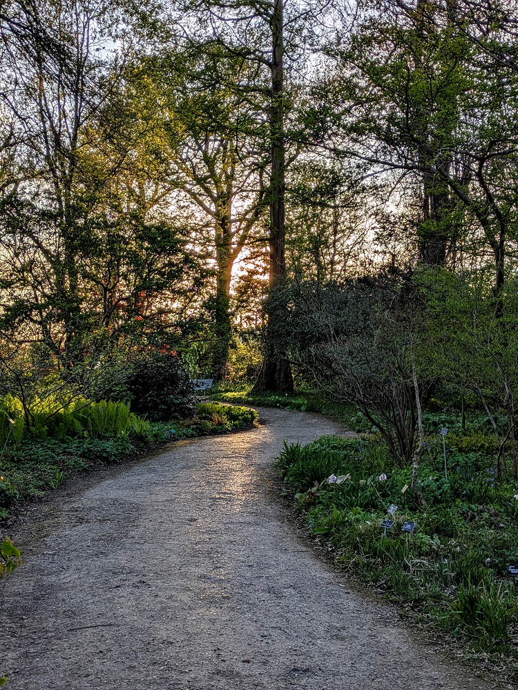 One of the empty paths in RHS Garden Wisley
