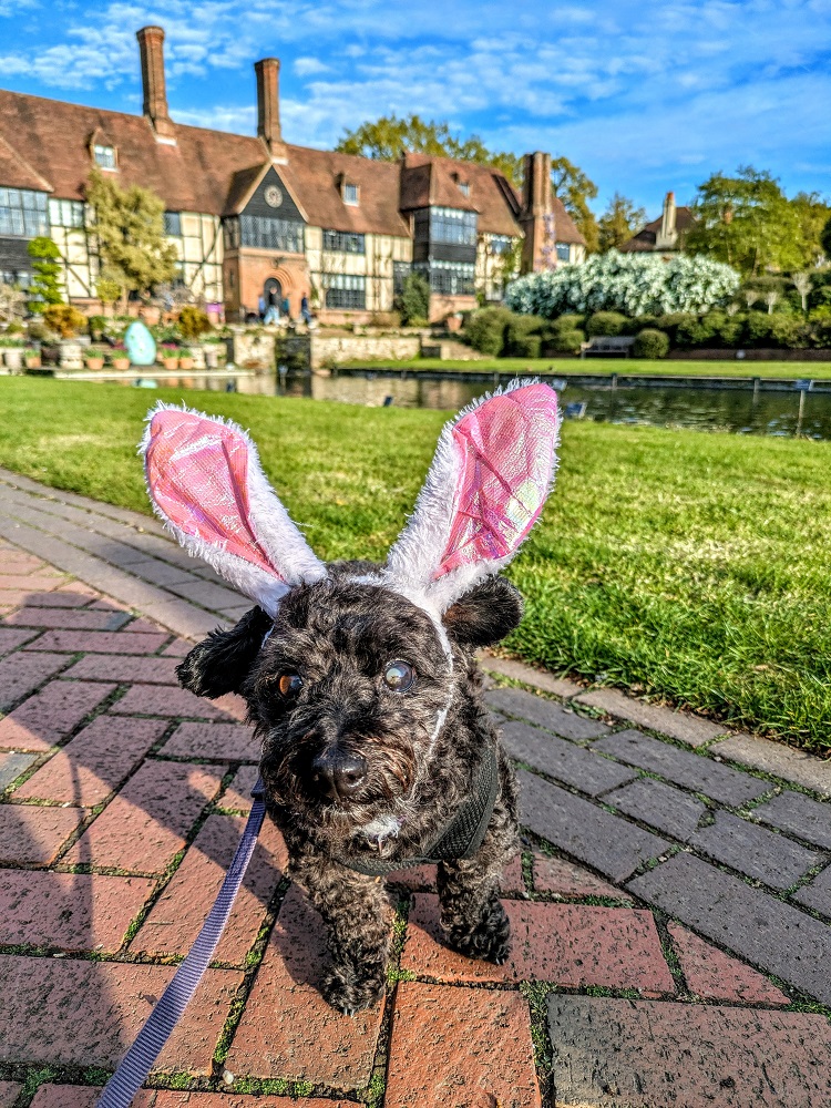 The Easter Bunny also wanted to know if there were any treats