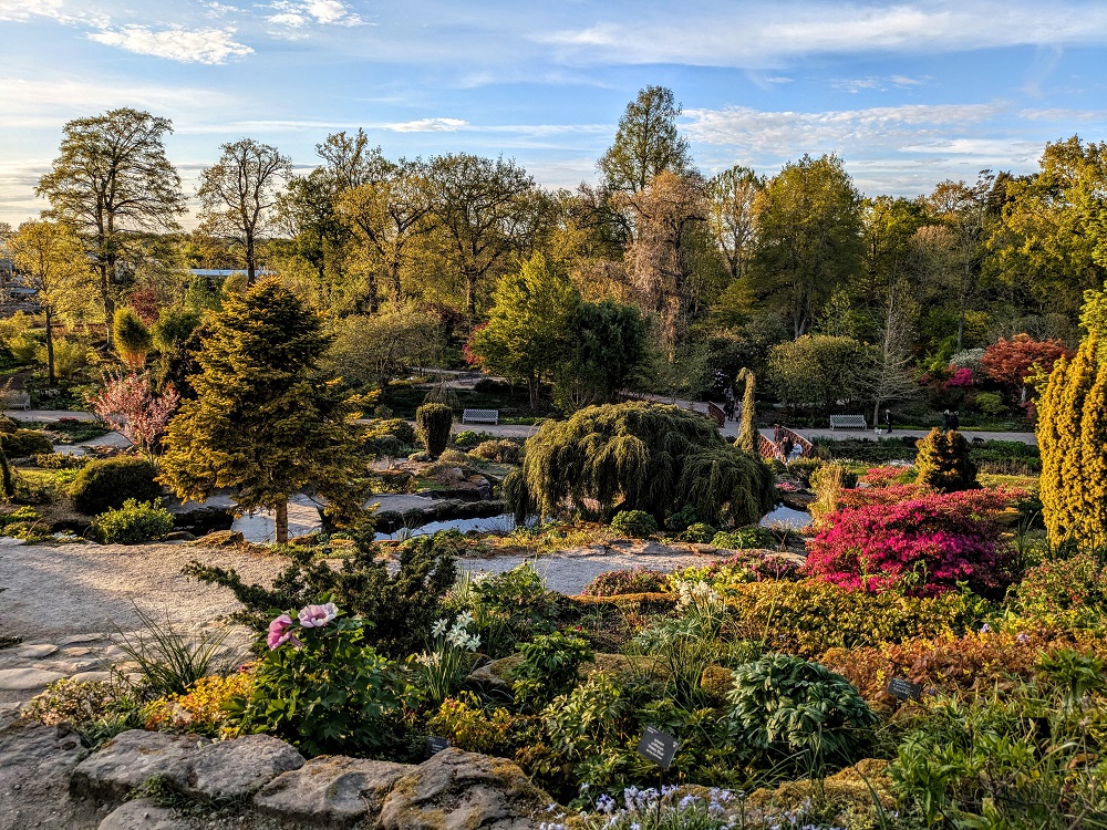 The Rock Garden at RHS Garden Wisley