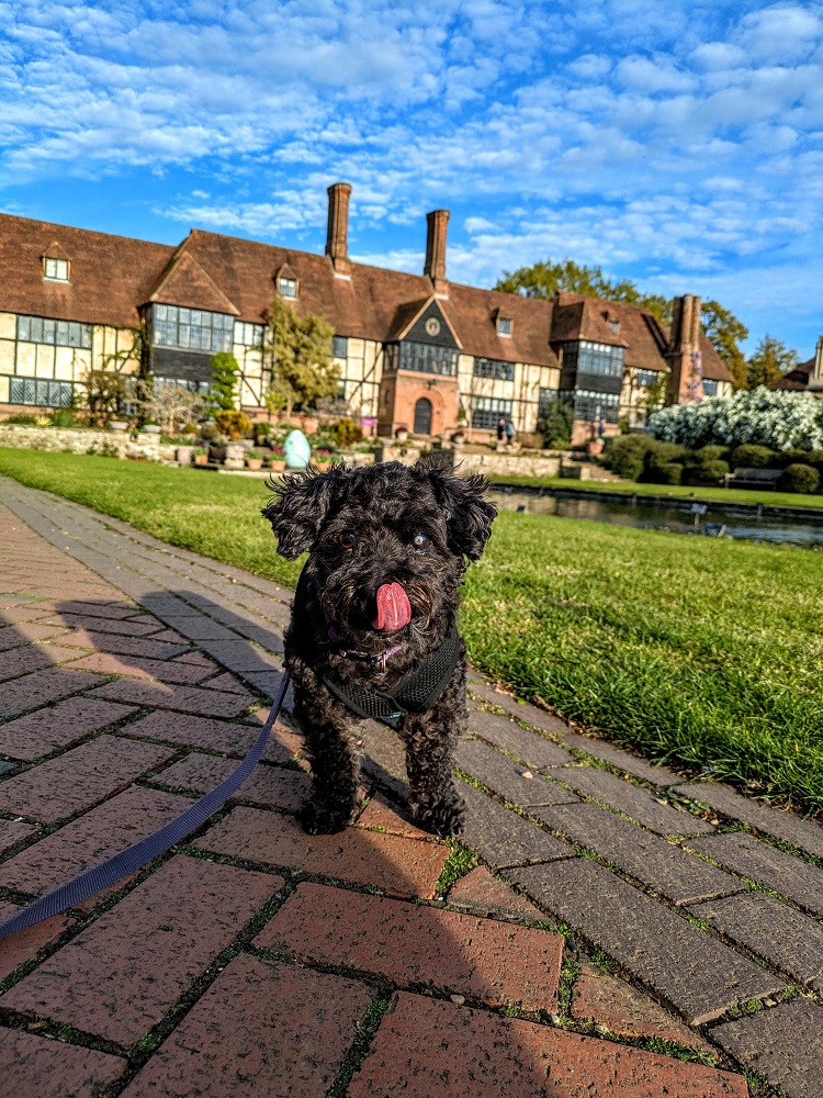 Truffles wondered if they were cooking up tasty treats at the Old Laboratory