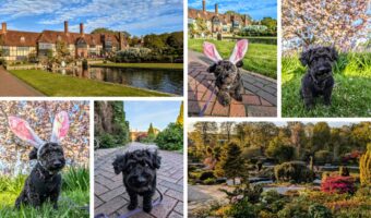 Walkies at Wisley RHS Garden Wisley