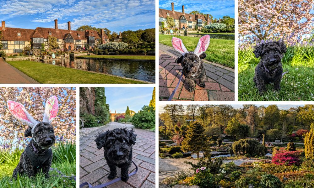 Walkies at Wisley RHS Garden Wisley