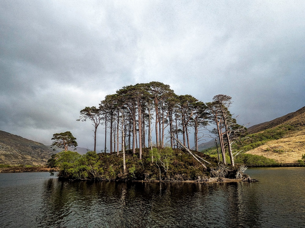 Eilean na Moine (Dumbledore's Grave)