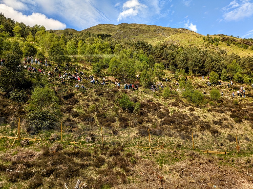People watching the steam train pass over the viaduct