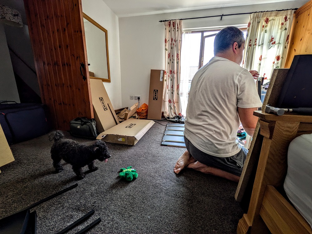 As always, Truffles wanted to play while we were busy