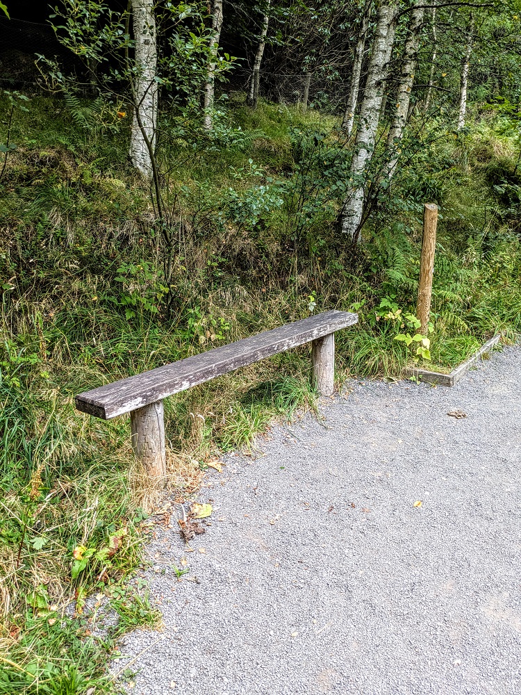 Bench along the trail