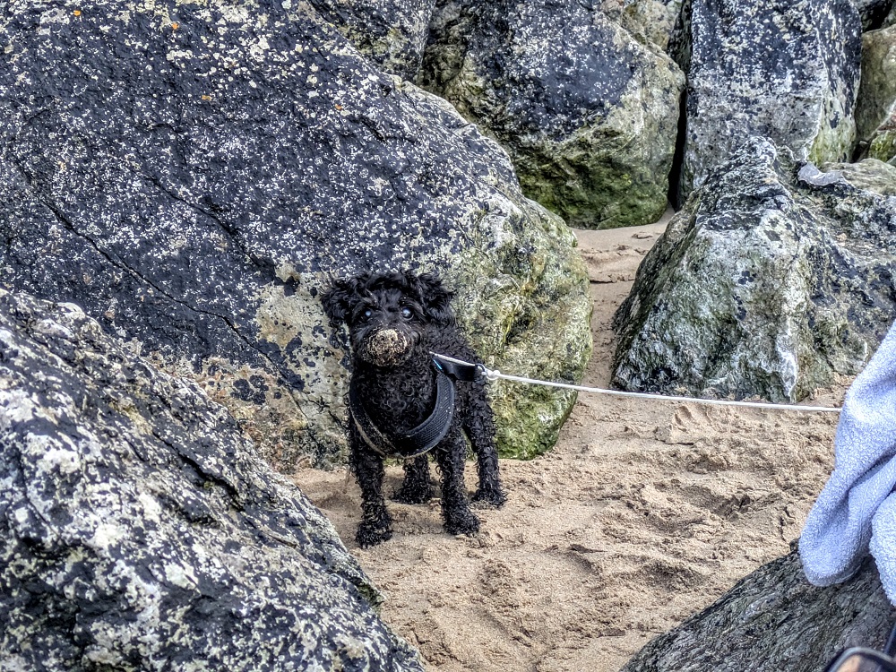 Me I wasn't digging in the sand, what makes you think that