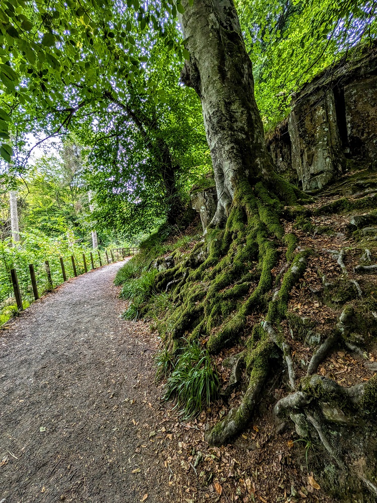 Path down to the waterfall