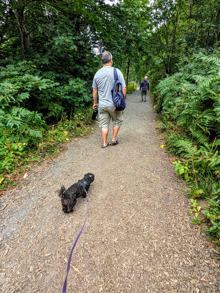 Pet-friendly High Force Waterfall trail
