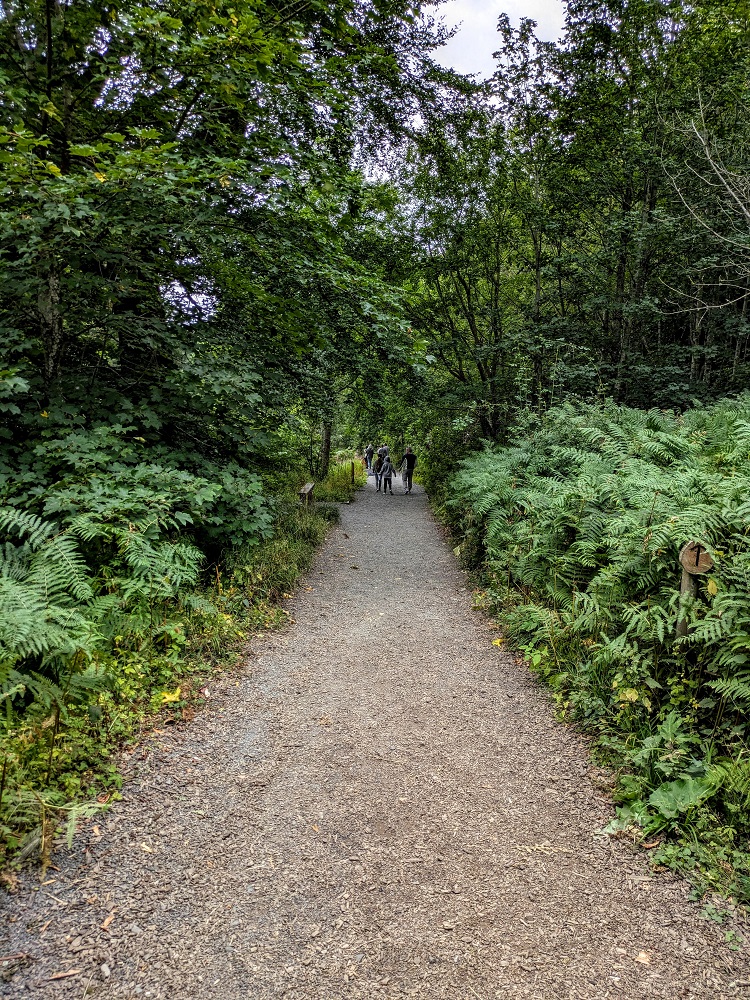 Trail to High Force Waterfall