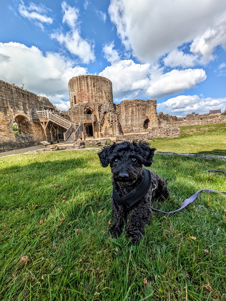 Truffles at pet-friendly Barnard Castle