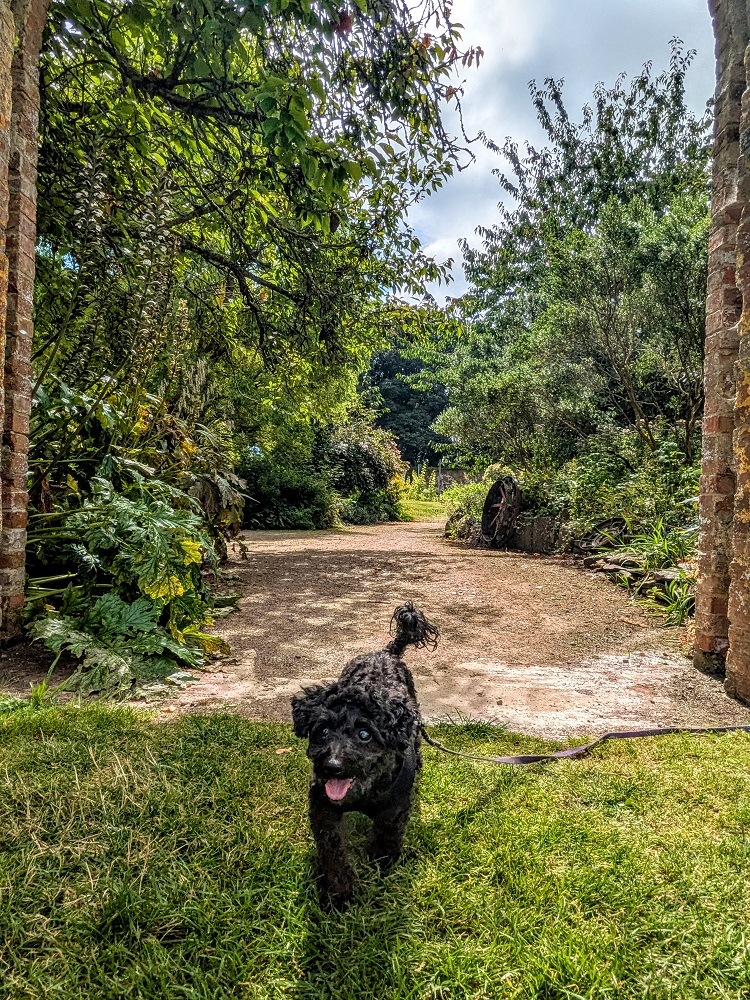 10+ Fun (& Mostly Pet-Friendly) Things To Do In Pembroke, Wales - No ...